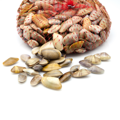 Tallarina Gourmet 250g.