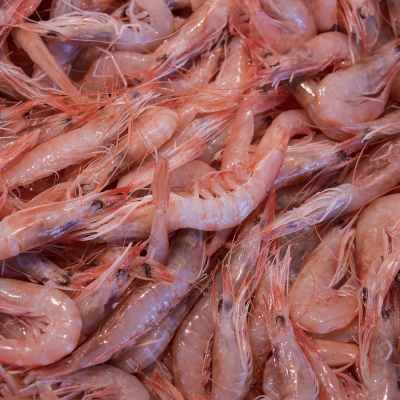 Gamba arrossera petita