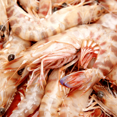 Llagostí gran 21-30u./Kg ...